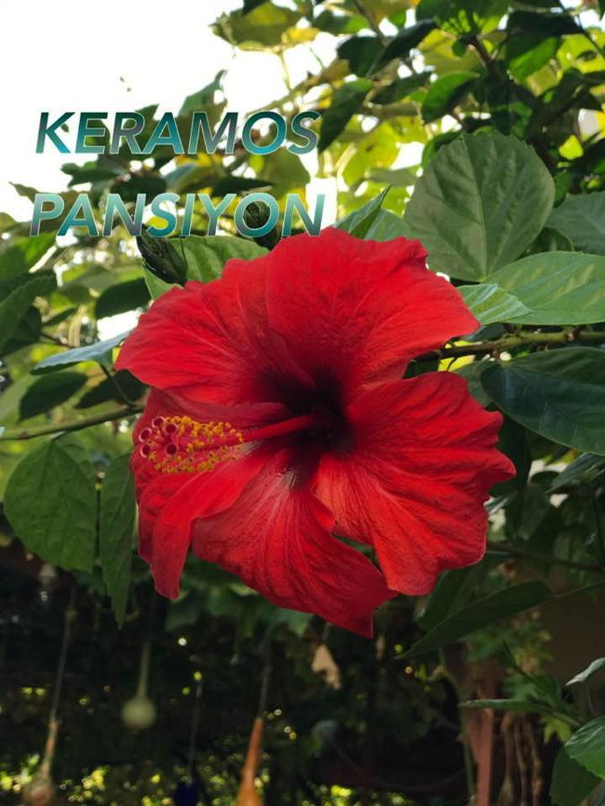 Keramos Pansiyon ฟินิเค ภายนอก รูปภาพ